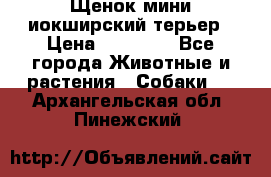 Щенок мини иокширский терьер › Цена ­ 10 000 - Все города Животные и растения » Собаки   . Архангельская обл.,Пинежский 